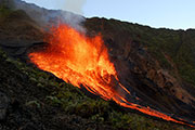 eruptions 229